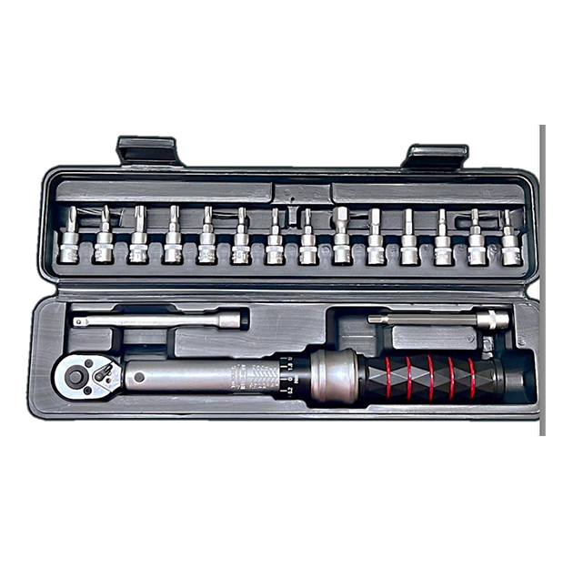 Torque Wrench 1/4"dr Set - 17PCS